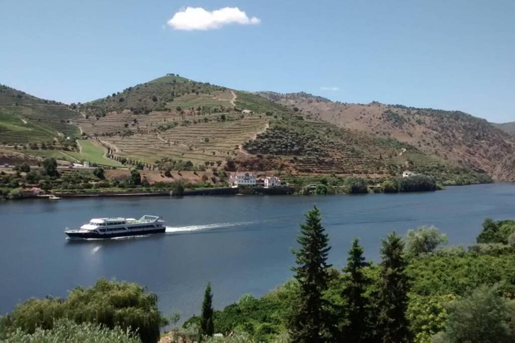 Casa Dos Vinhais - Douro Valley Coleja 외부 사진